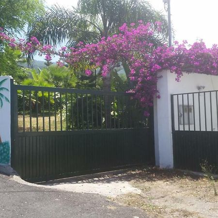 Finca Las Palmeras 이코드레로스비노스 외부 사진