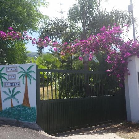Finca Las Palmeras 이코드레로스비노스 외부 사진