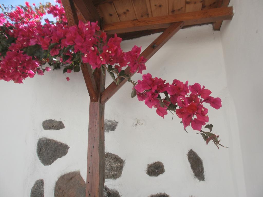 Finca Las Palmeras 이코드레로스비노스 외부 사진