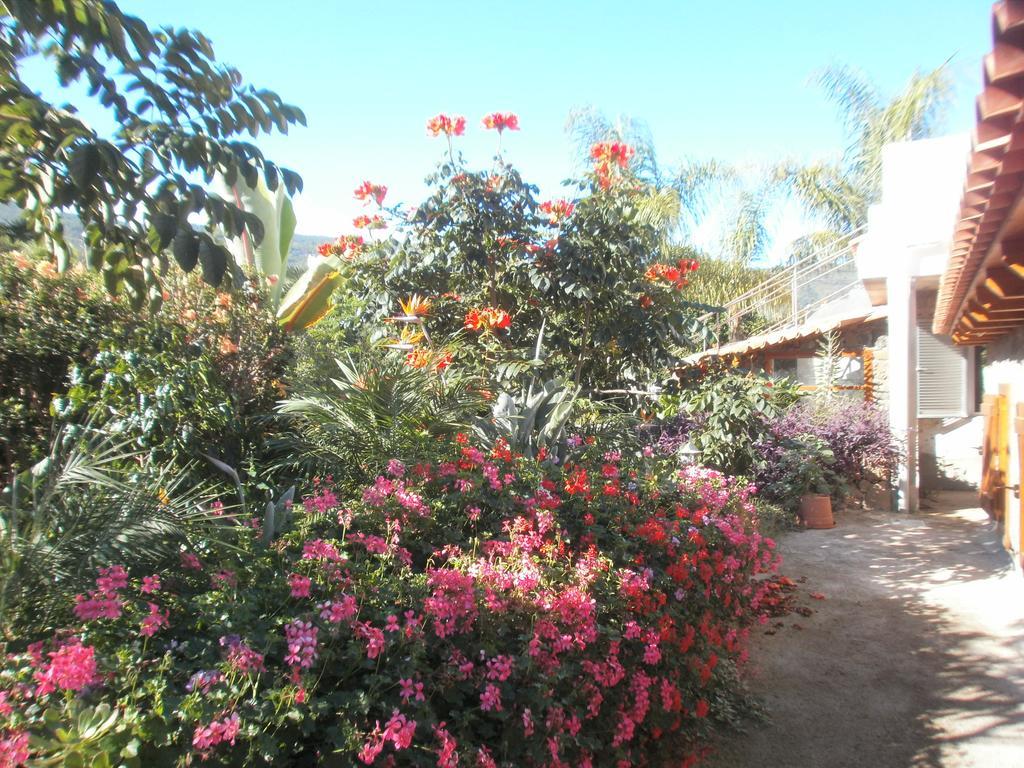 Finca Las Palmeras 이코드레로스비노스 객실 사진