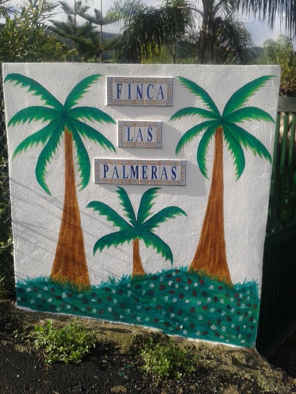 Finca Las Palmeras 이코드레로스비노스 객실 사진