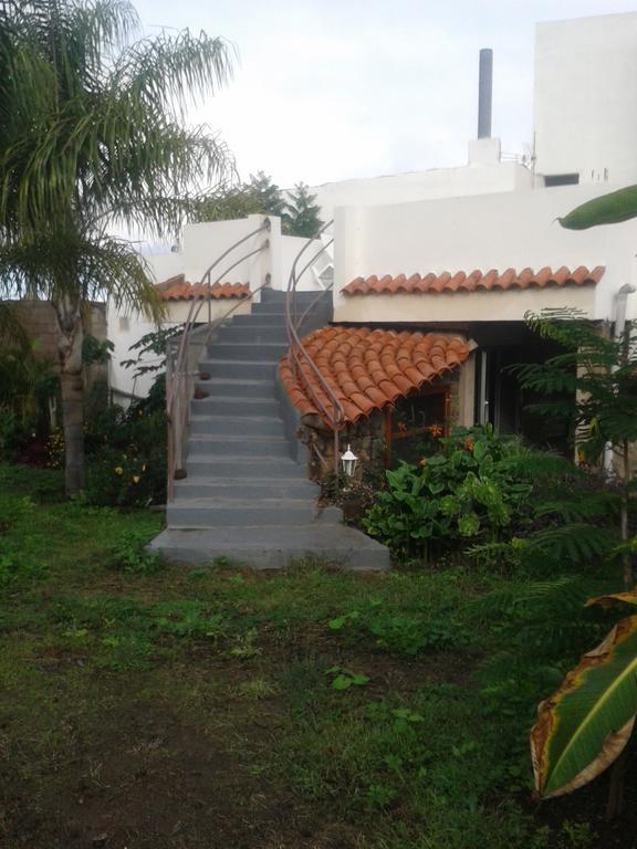 Finca Las Palmeras 이코드레로스비노스 객실 사진