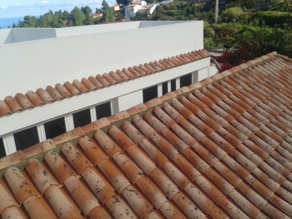 Finca Las Palmeras 이코드레로스비노스 객실 사진