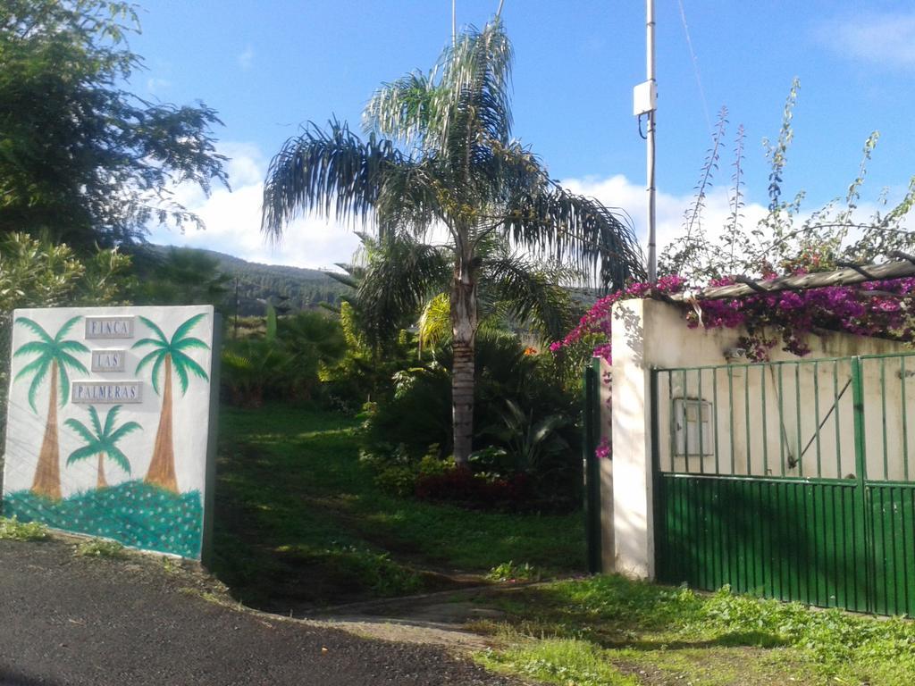 Finca Las Palmeras 이코드레로스비노스 외부 사진