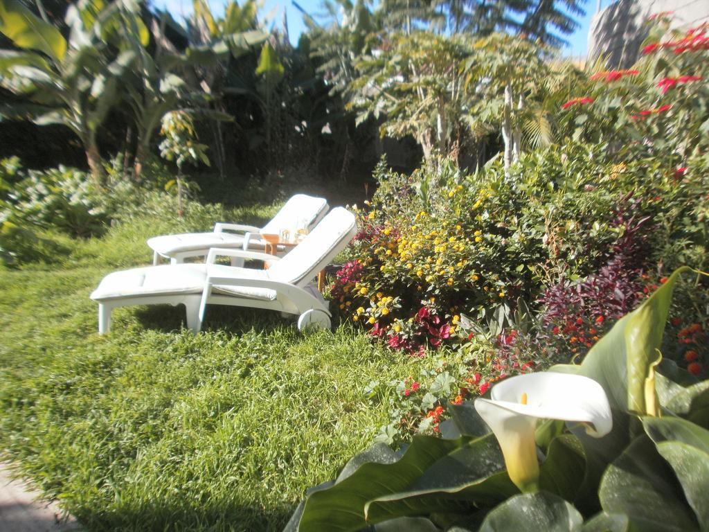 Finca Las Palmeras 이코드레로스비노스 객실 사진
