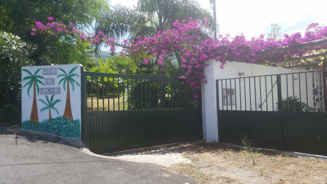 Finca Las Palmeras 이코드레로스비노스 외부 사진