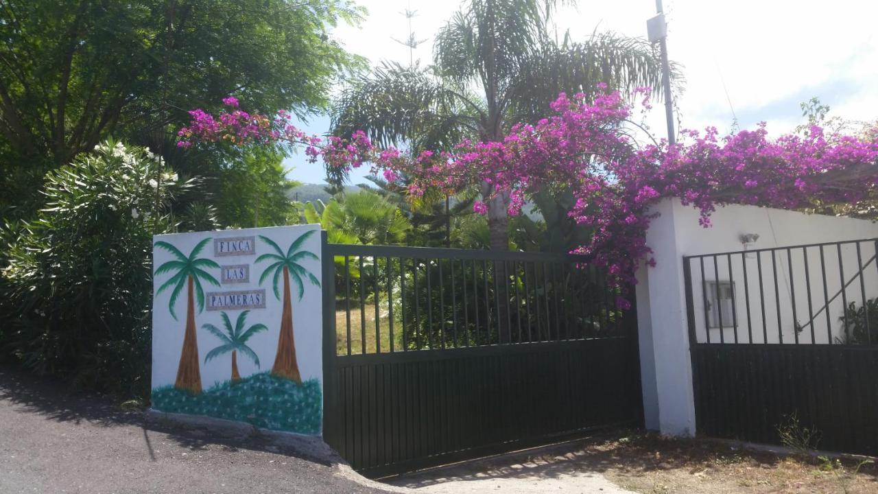Finca Las Palmeras 이코드레로스비노스 외부 사진